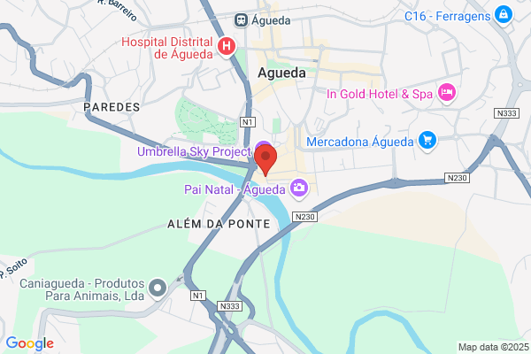 Táxis Águeda 24