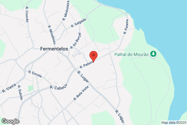 Antanio Martins Ferreira