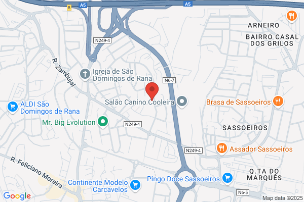 Softmenu-Informatica. Lda