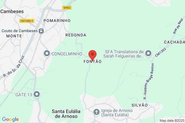 Antanio Joao L Campante