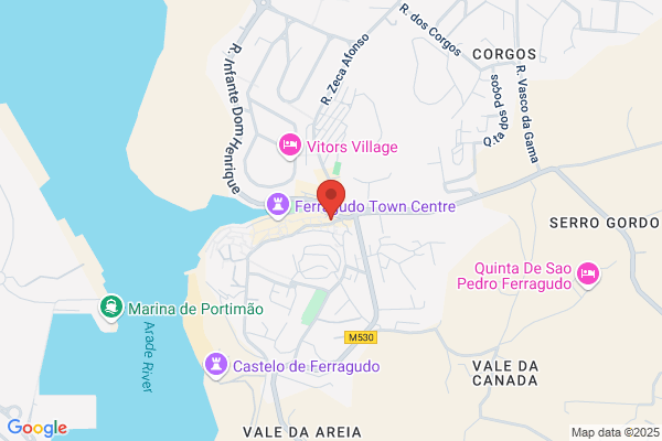 Maria J Moniz Estorninho
