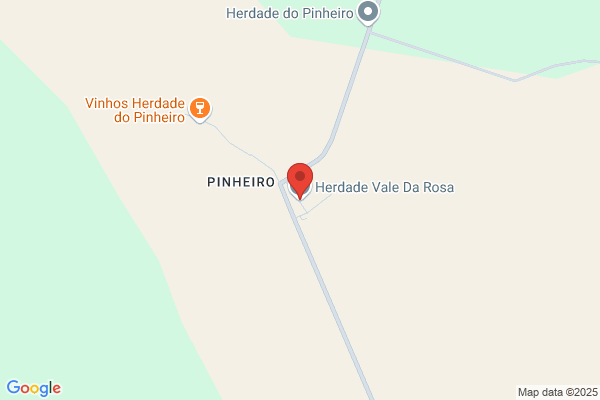 Eduarda Rosa Pires