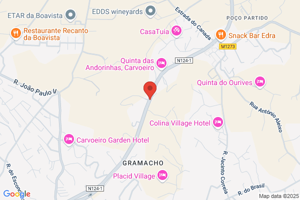 João A Granadeiro Piscarreta