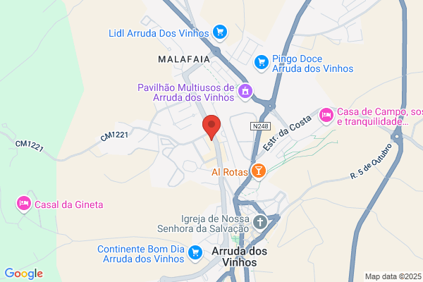 Maria L G F Arruda Teixeira