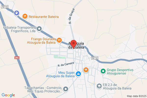 Habipen-Sociedade De Construiåes. Lda