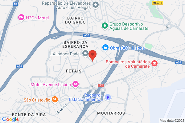A Rolarte De Maximiano Antunes Rola