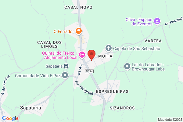 Dr Graça Caetano