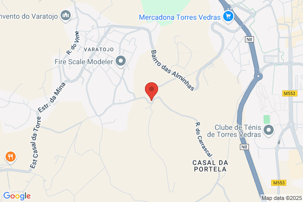 Isabel M Santos Gomes
