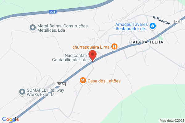 Eleição Ii-Consultoria E Contabilidade Lda