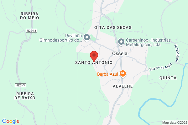 António A Bóia Oliveira