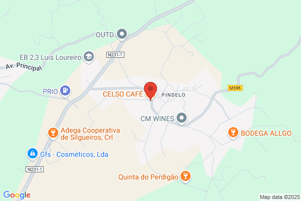 Celso C Martins Correia