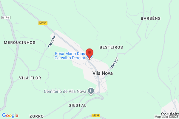 Maria C Silva Carvalho