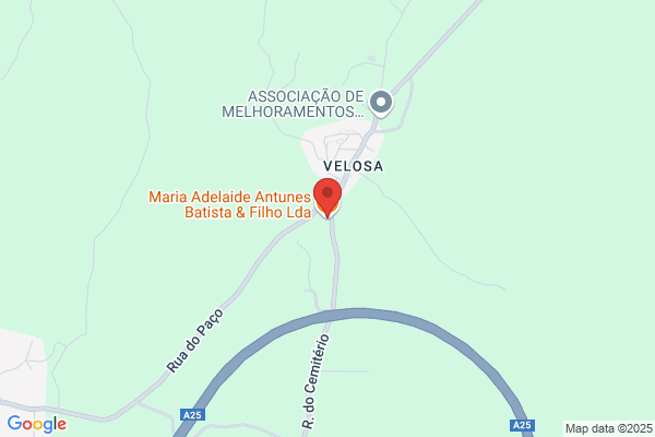 Maria Adelaide Da Silva Gonialves