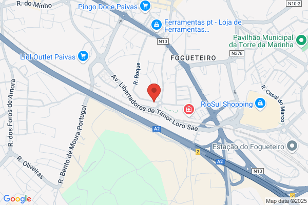 Rute P Marques Gonlves