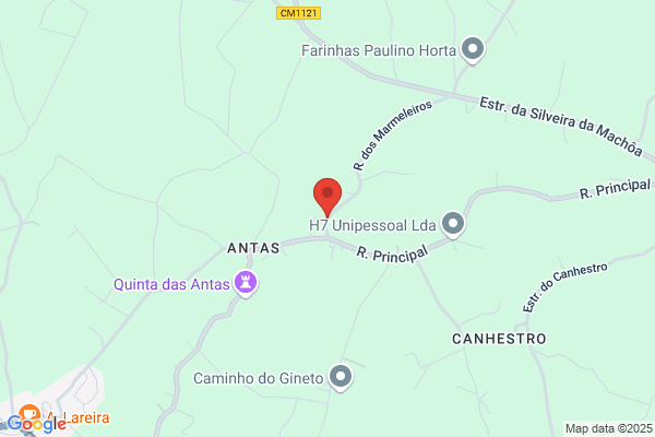 Abel F Lima Oliveira