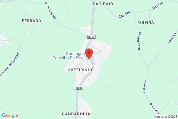 Domingos Silva Carvalho