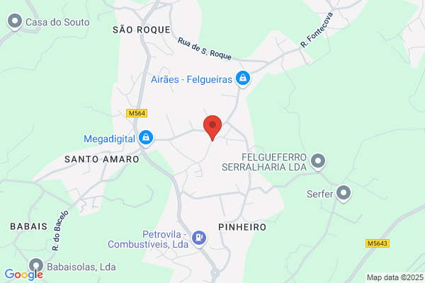 Bernardete M Sribeiro