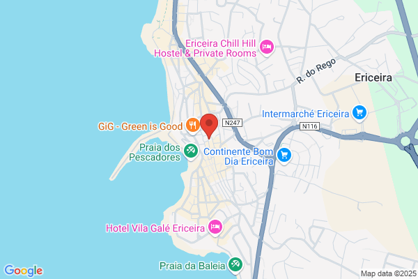 Gertrudes A Fernandes Campos