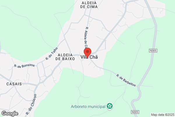 Fernando M M Ribeiro Azevedo