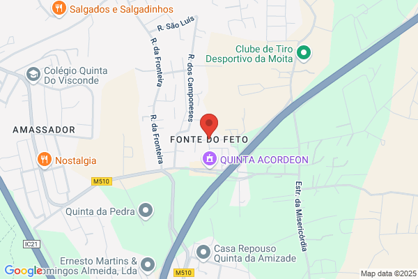 Domingos I Almeida Cruz