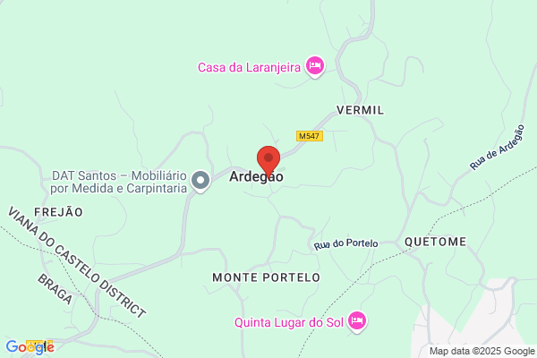 Jose Manuel Alves De Pinho