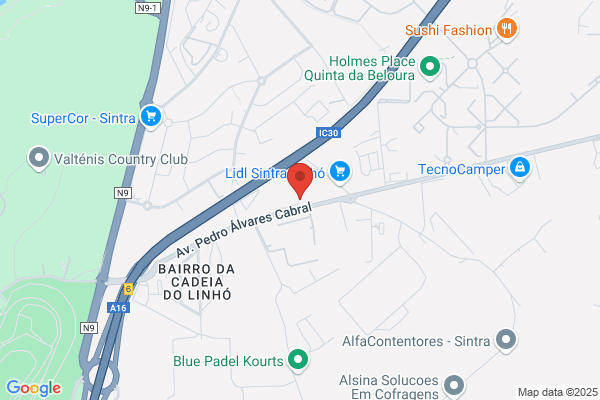 Carlos D Morgadinho Gago