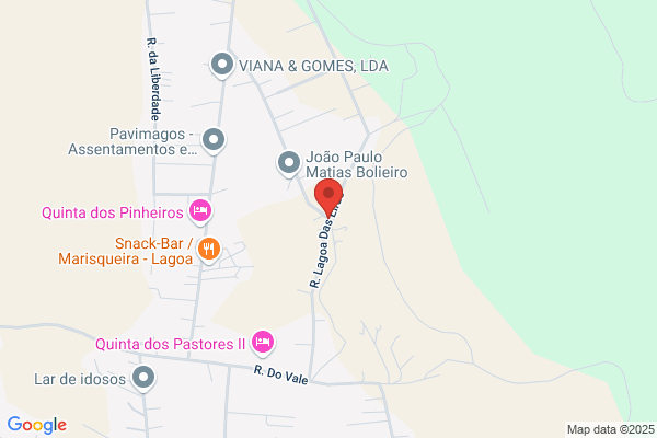 Carlos M Pancada Neves