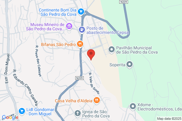 Adão Ribeiro