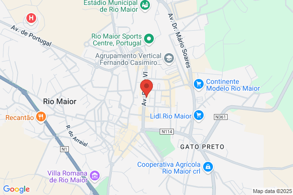 Rosa M M Grilo Penedo