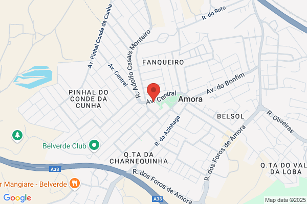 Svia M F Gonlves Santos