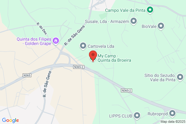 Marta I Pereira Campiü