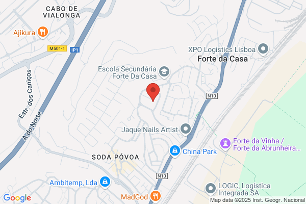 Maria H G Teixeira Leal