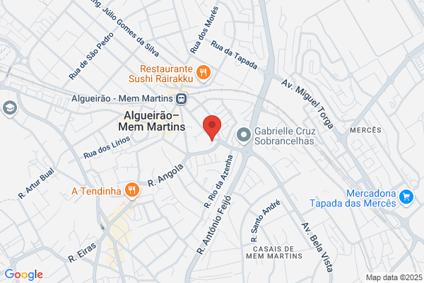 Maria Elisa Jesus Pinto E Manuel Luàmartins Lda
