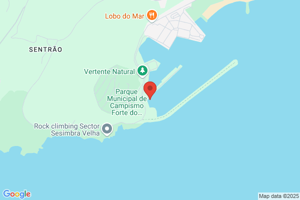 Adelino F Rodrigues Fortunato
