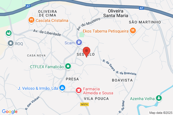 Cristina M F V Pinho Coelho