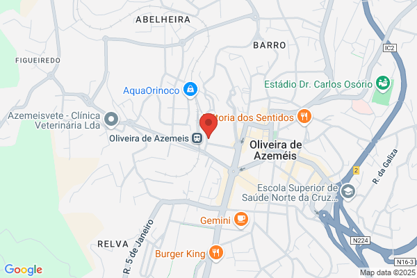 Armindo M Valente Silva
