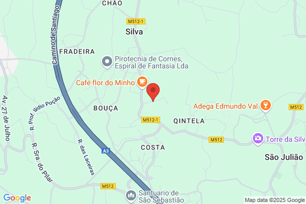 Carlos A Silva Cunha