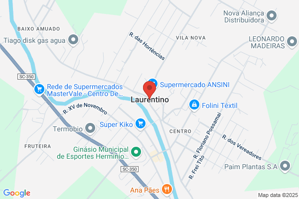 Laurentino A Soares Martins