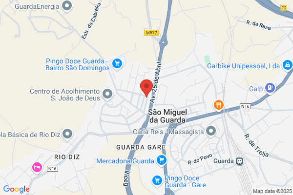Ernâni M Nunes Vaz