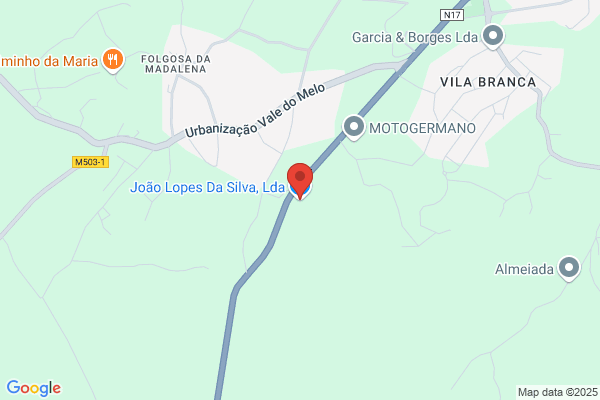 Joao Lues Madalena