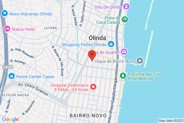 Olinda M C Contreiras Conceiï