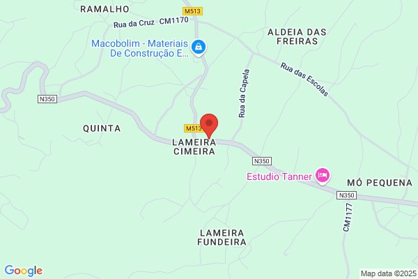 Maria O Silva Lopes