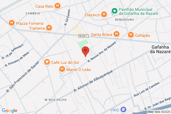 Dorinda M Filipe Gandarinho