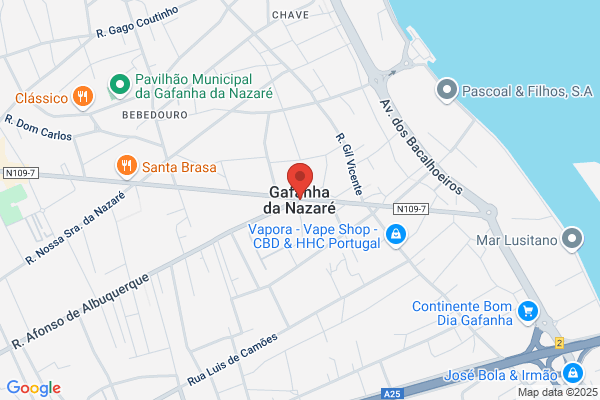 Lisete Jesus Cerdeira