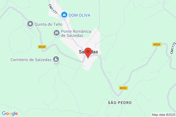 Maria M C Paiva Félix