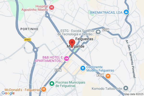 Rosa Sousa Domingues