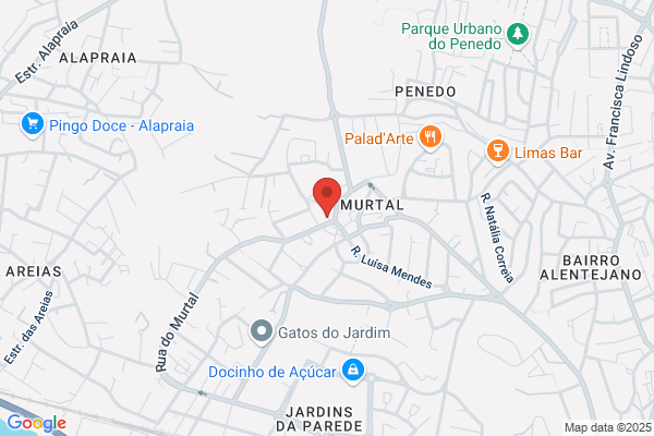 A Tavares Da Silva