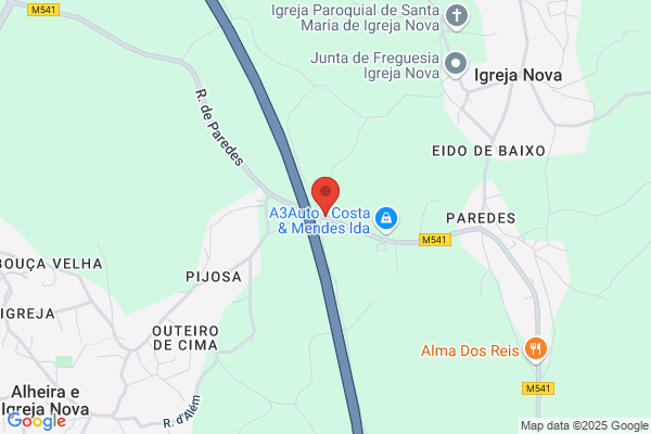 Ana Maria F P Silva