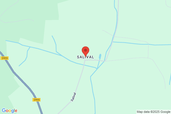 Salàolival