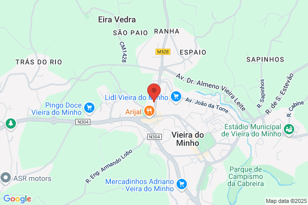 Maria D Monterio Ribeiro